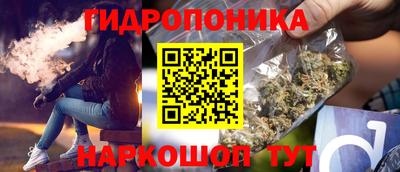 сатива Пенза