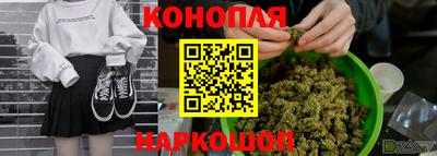 сатива Пенза
