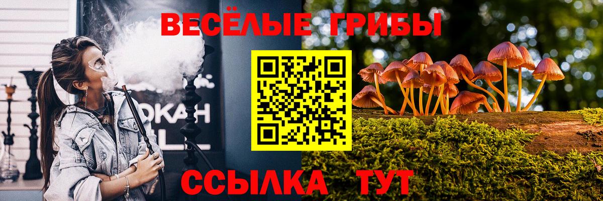 Псилоцибиновые грибы прущие грибы Тихвин