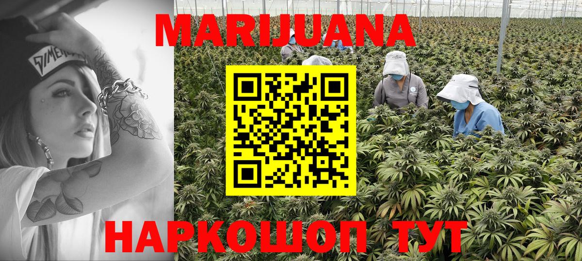 Каннабис AK-47  Каннабис OG Kush  Вход с VPN  Марихуана семена  Тихвин 